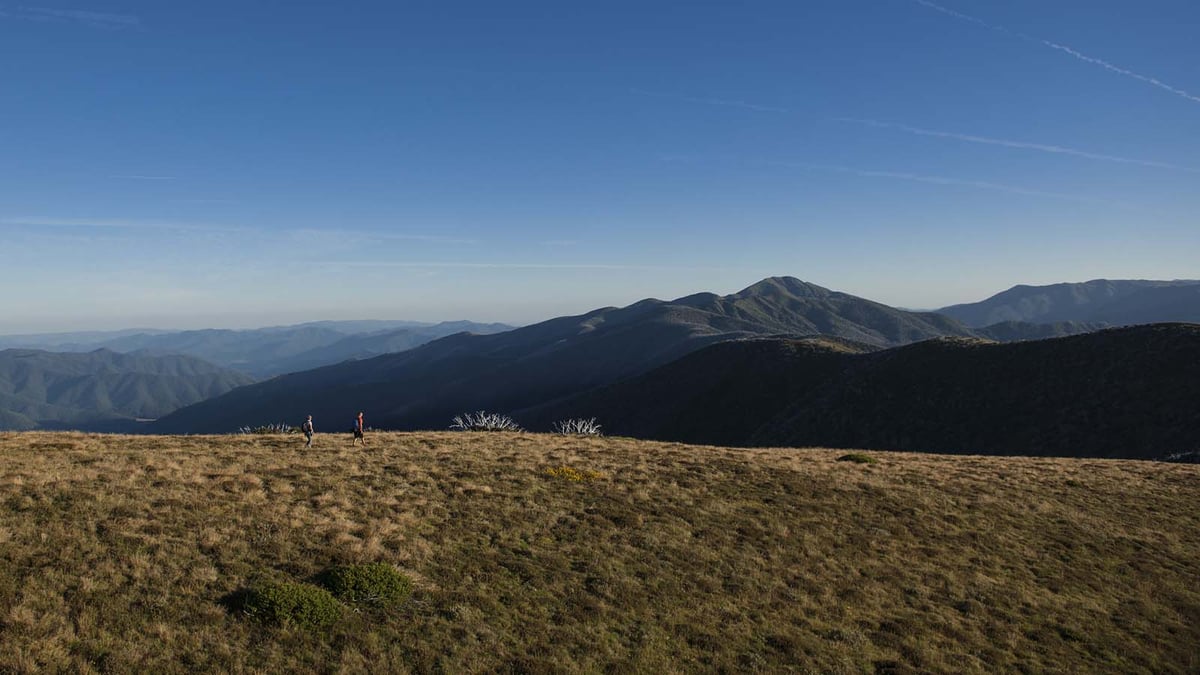 Razorback Track to Mt Feathertop, Victoria