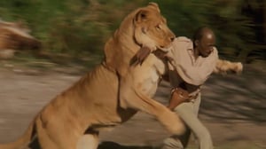 men beat lion fight