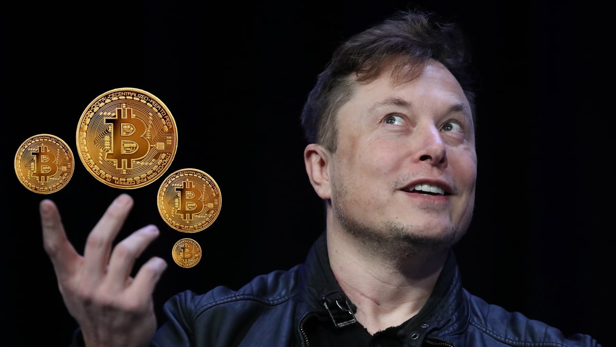 Elon Musk Tanks Crypto Prices By Suspending Tesla Bitcoin Purchases