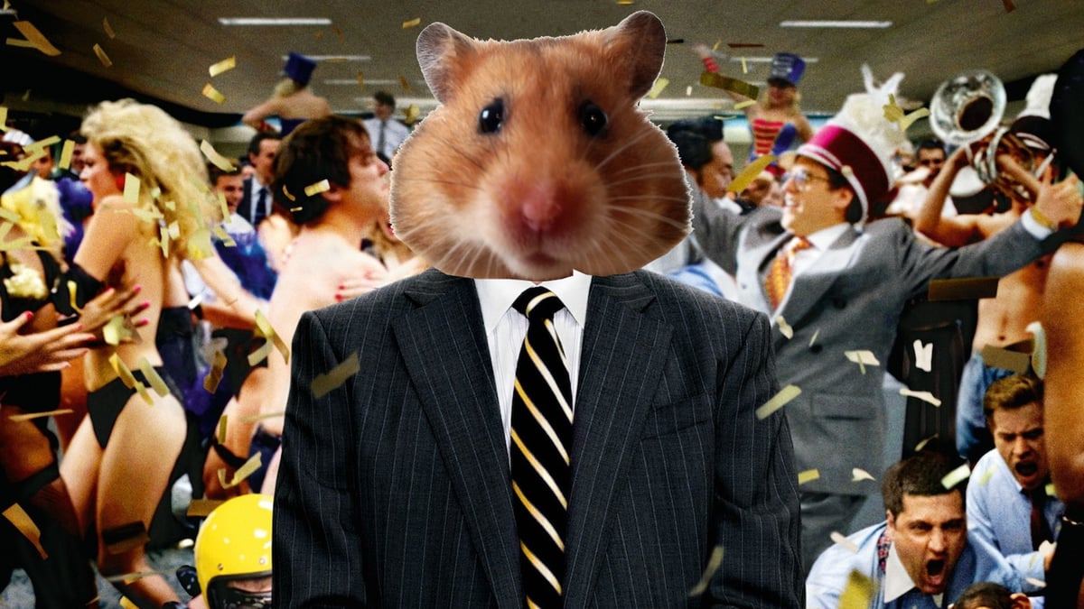 Crypto-Trading Hamster Has Quietly Outperformed Warren Buffett For Months
