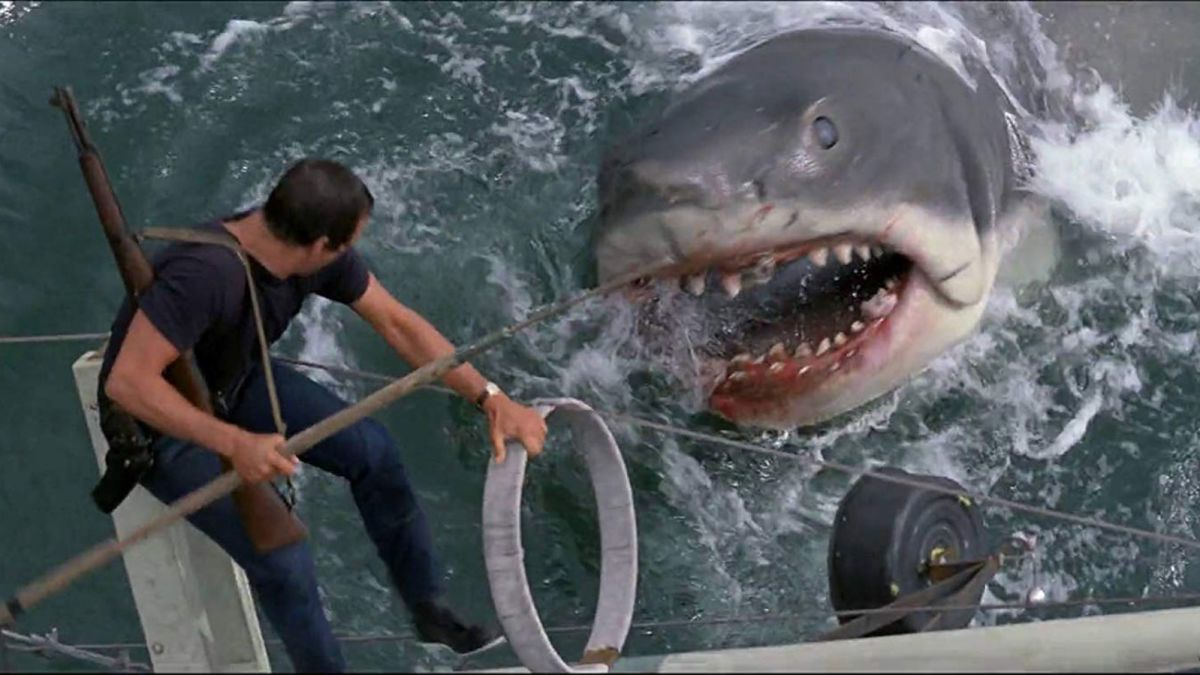 jaws movie