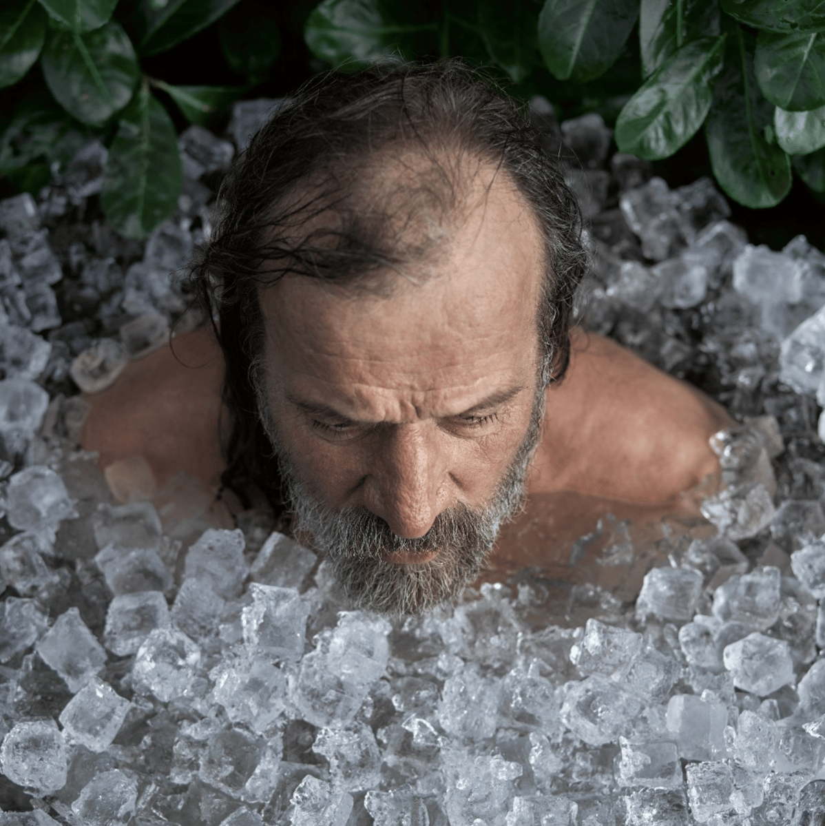 The Science Behind Wim Hof Breathing & What You Can Expect From It