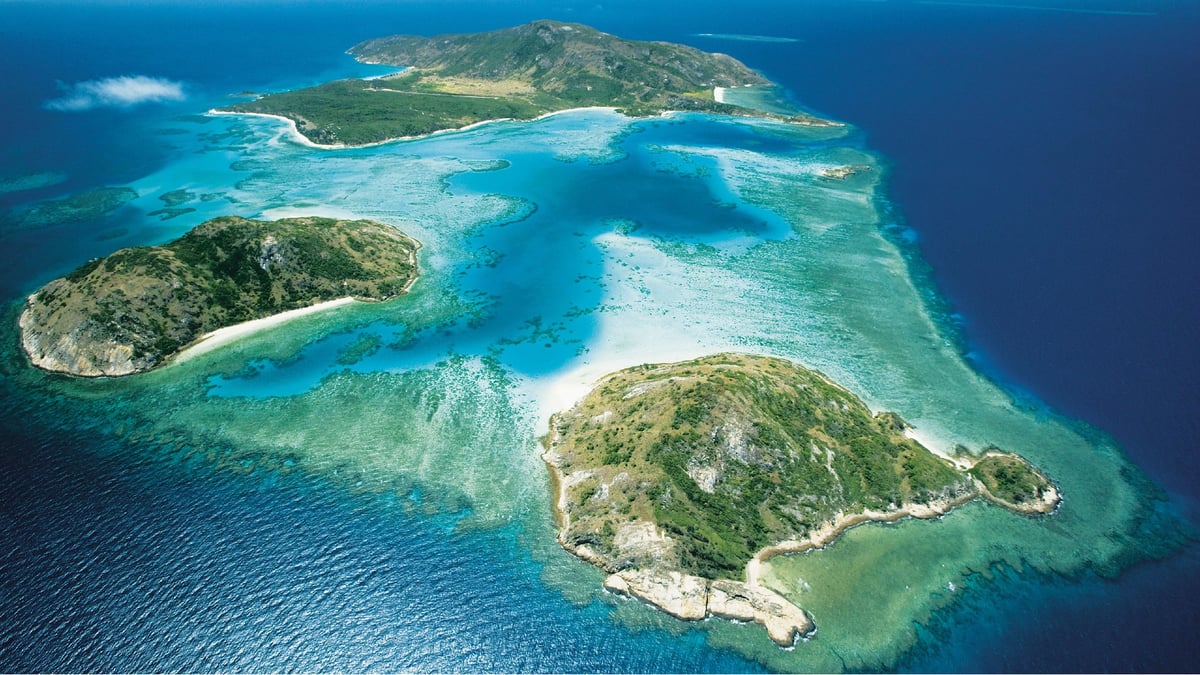 Andrew Twiggy Forrest Lizard Island