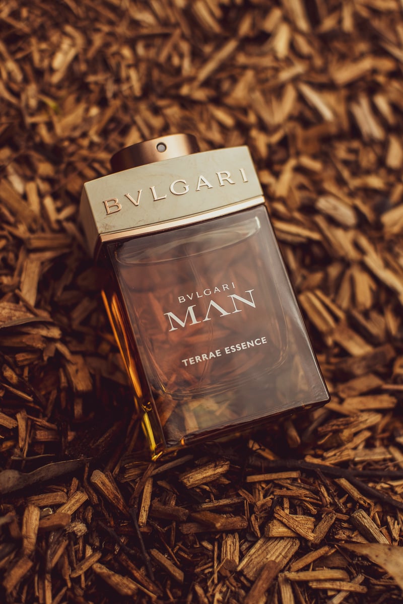 Bvlgari Man Terrae Essence 2