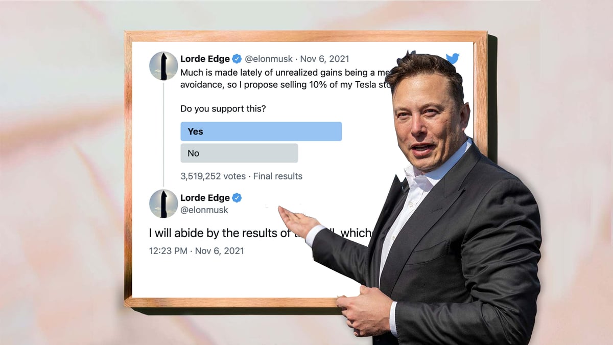 Elon Musk Tesla Shares Twitter