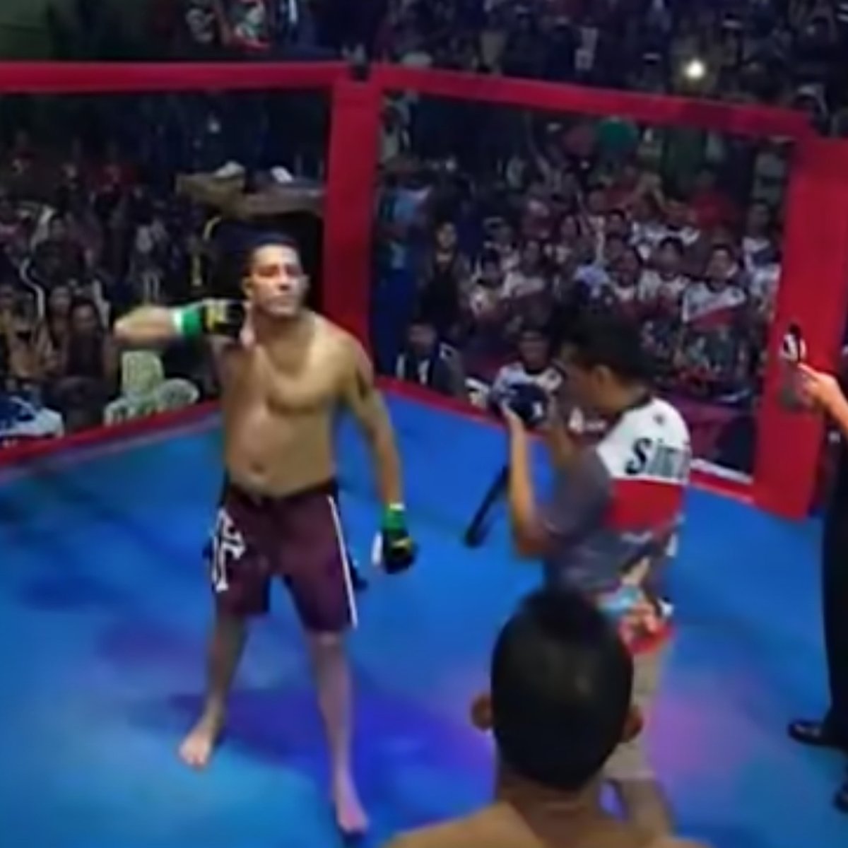 Brazilian politicians Simao Peixoto Erineu da Silva MMA fight 2