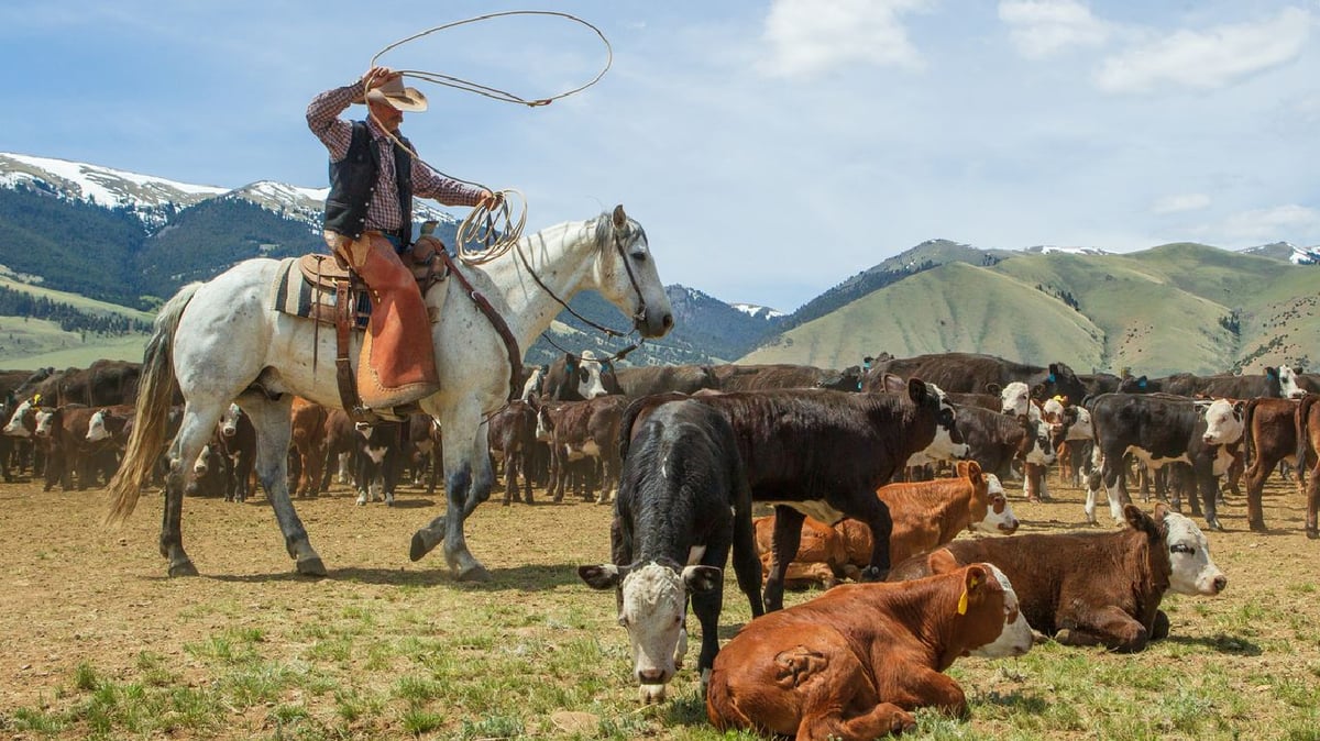 RUPERT MURDOCH Beaverhead Ranch Montana