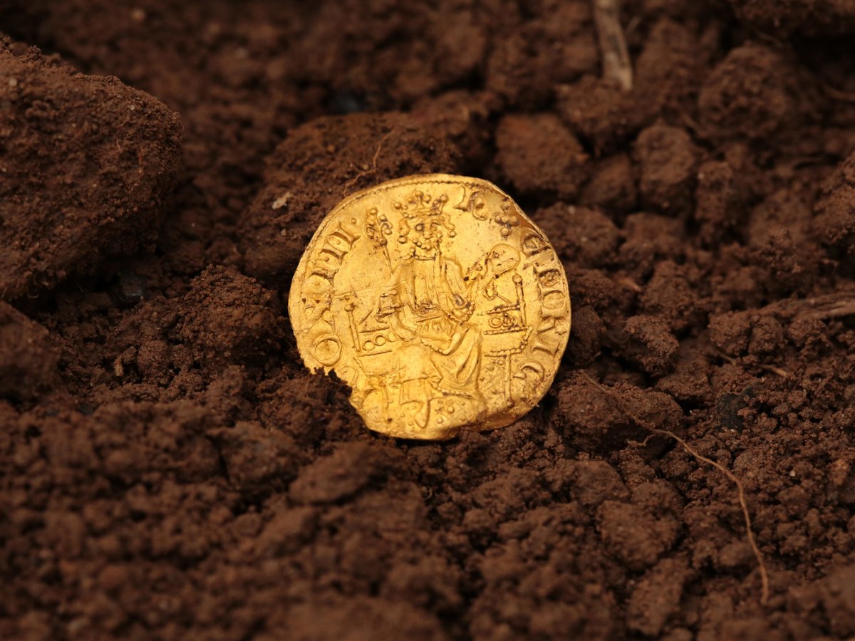 metal detector gold coin