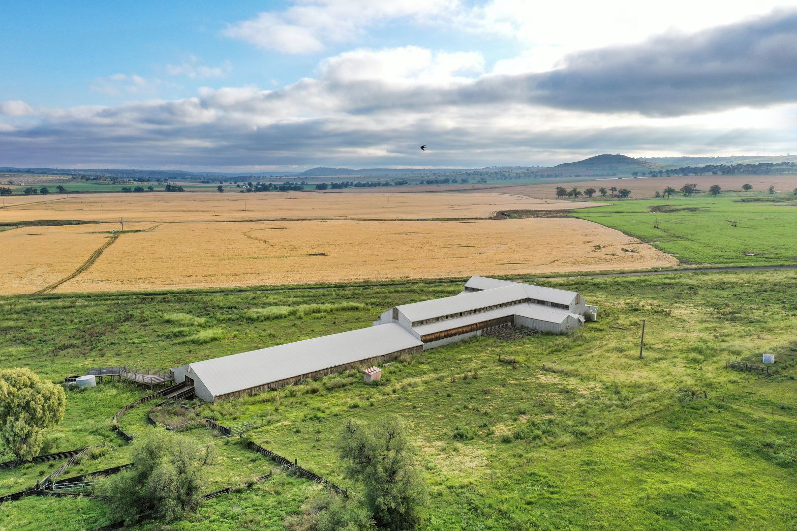 6256 Scone Road Merriwa