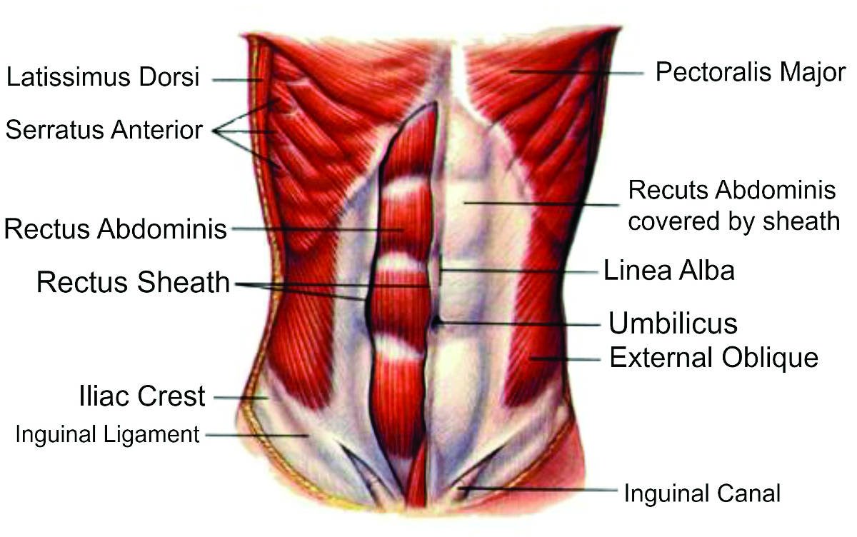 best ab workout