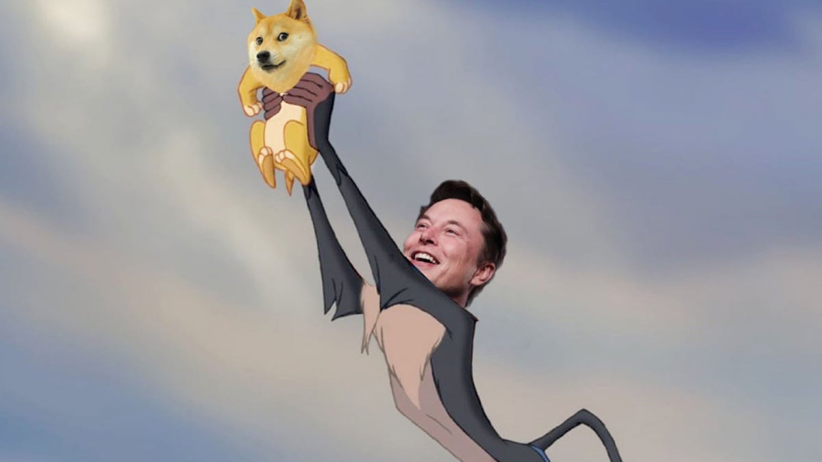 Elon Musk Dogecoin