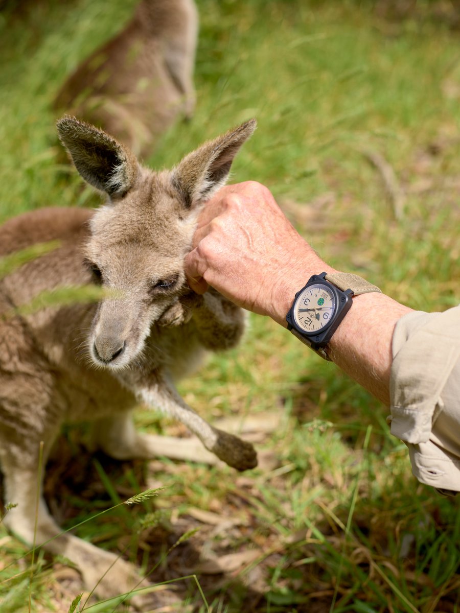 Bell & Ross BR 03-92 Wildlife Warriors