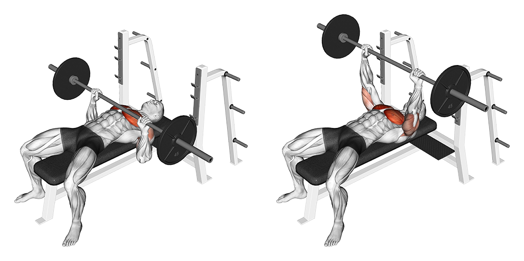 Barbell Bench Press