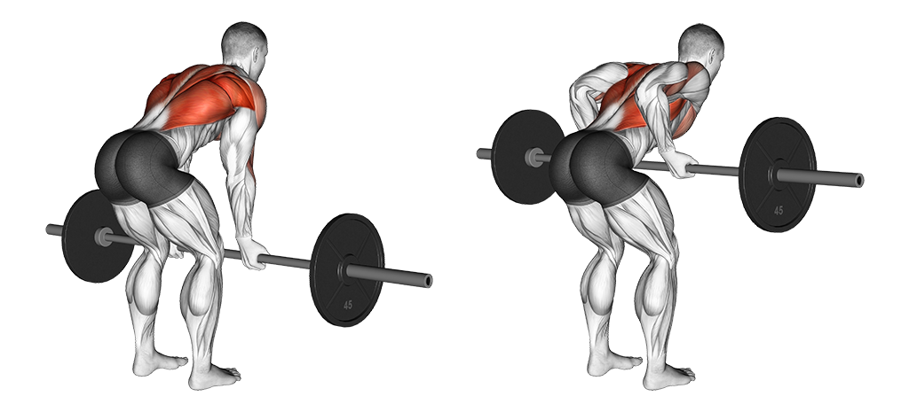 Reverse-Grip Bent-Over Row