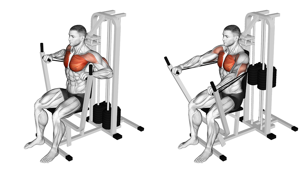 16 Best Chest Exercises & Workouts For Men