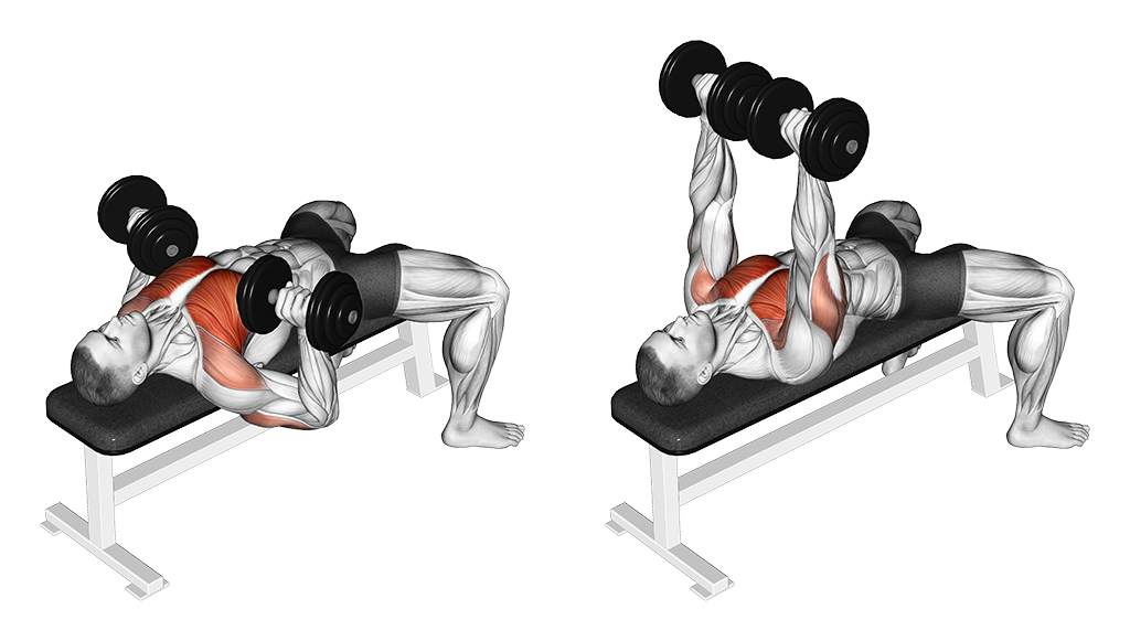 Flat Dumbbell Bench Press