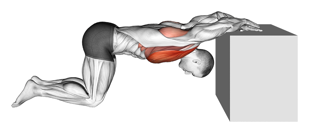 Kneeling Chest Opener Stretch (Cooldown)