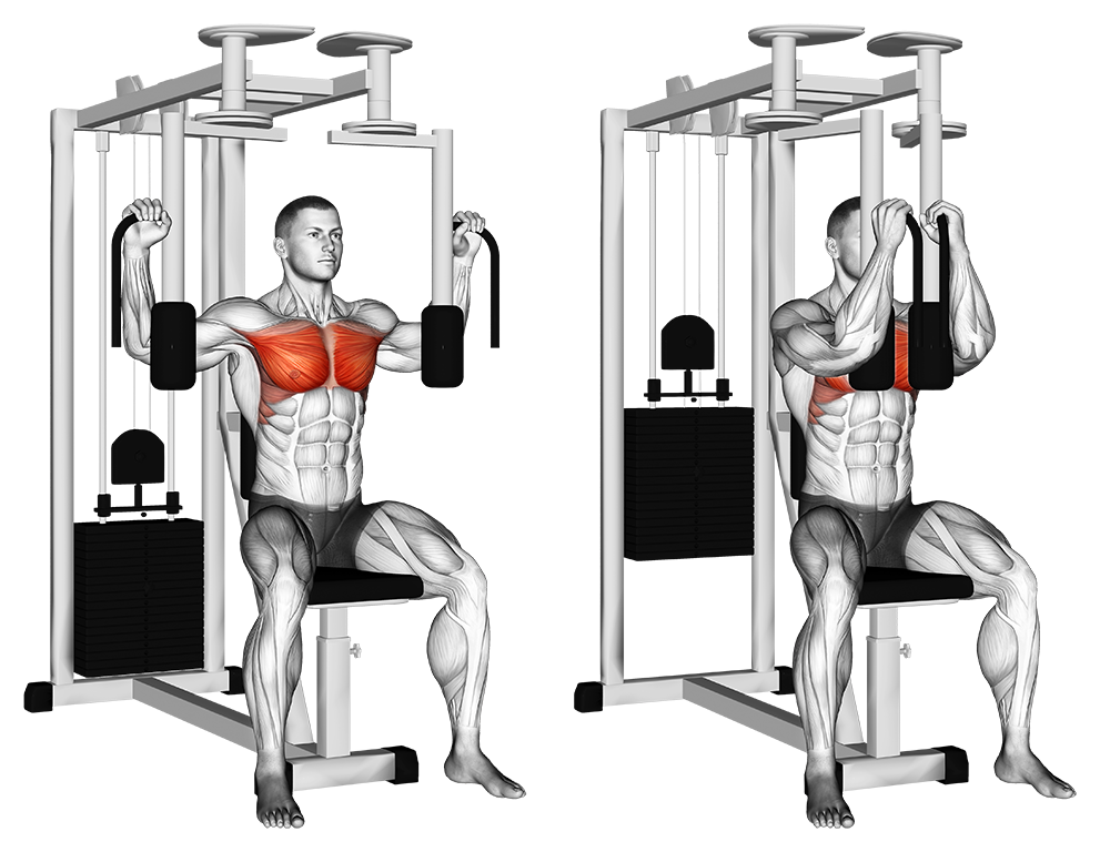 Best Chest Exercises for men