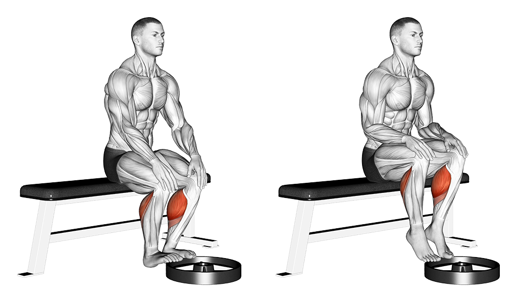 Sitting Calf Raises