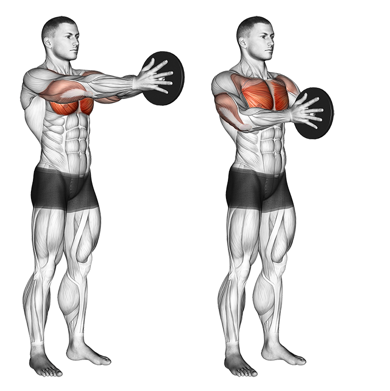 WIDE CHEST WORKOUT: 5 EXERCISES FOR A BROADER CHEST – Muscle Monsters