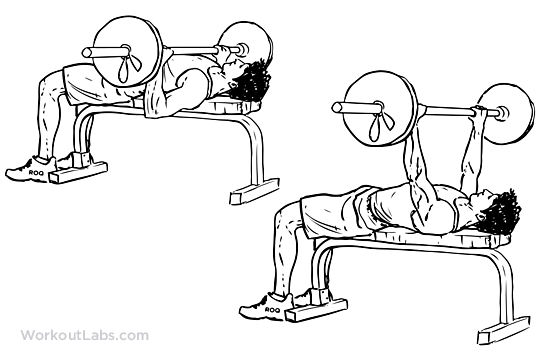 best tricep exercises