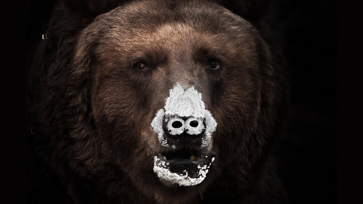 ‘Cocaine Bear’ Will Be The Must-See Movie Of 2023