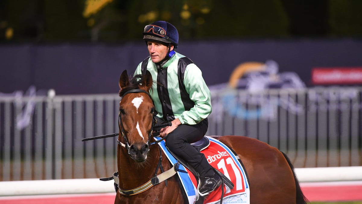 Cox Plate Tips 2022:  History, Odds, Value Bets, And Race Day Preview