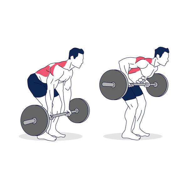 Best Trap Exercises