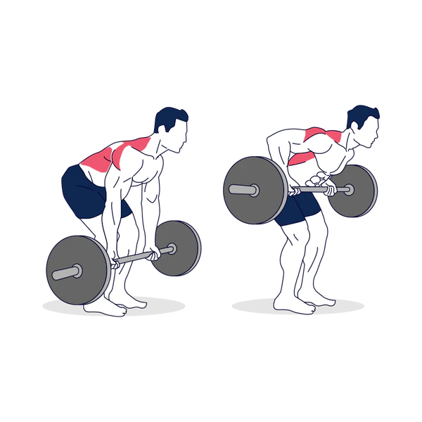 Bent-Over Row