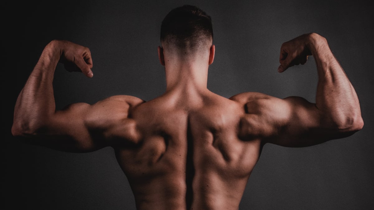 Best Rear Delt Exercises