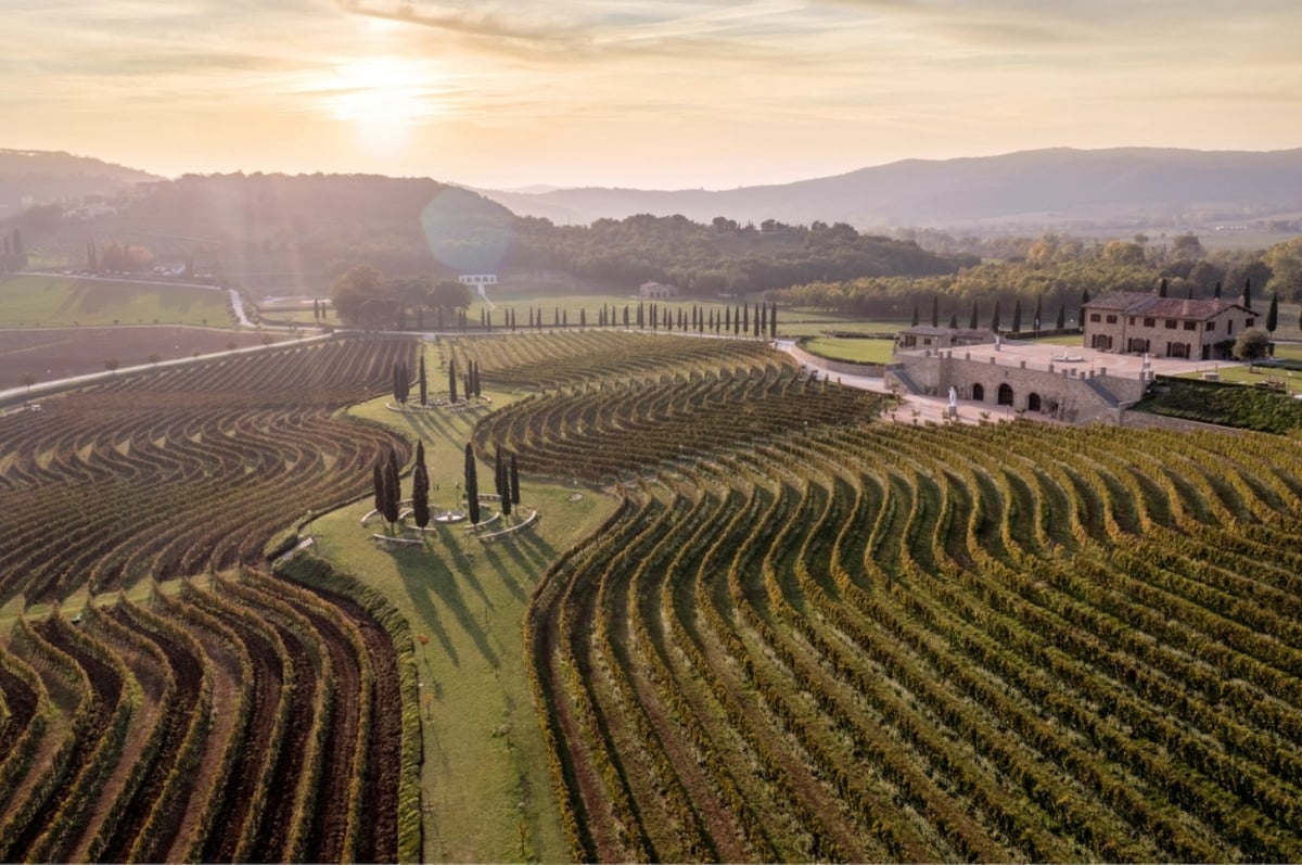 Brunello Cucinelli wine