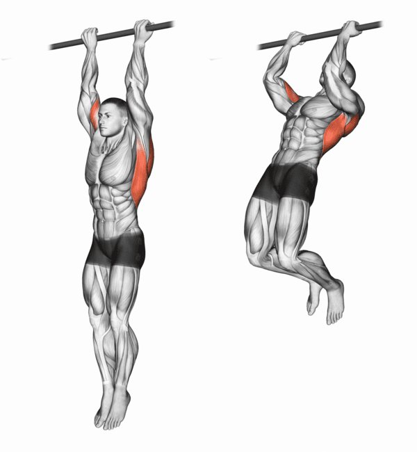 Chin Up Best Lat Exercises