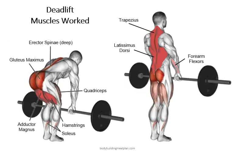 Deadlifts