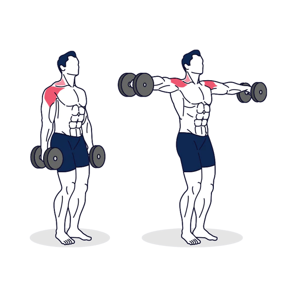 Dumbbell Lateral Raise