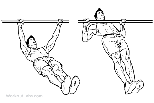 Inverted Row Exercise Best Rear Delt Exercises
