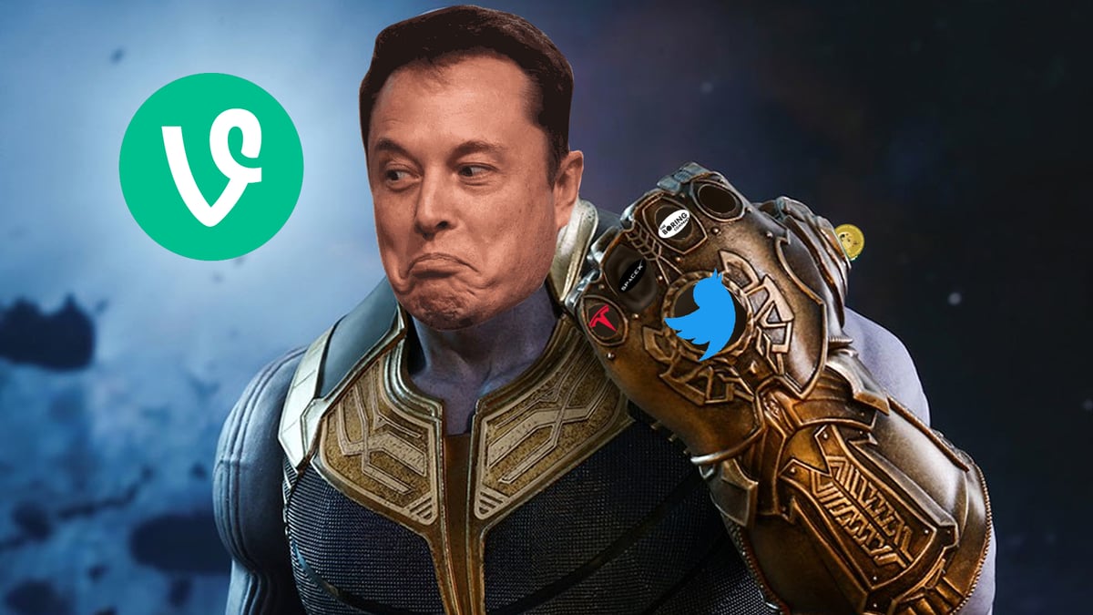 Now That He's Bought Twitter, Elon Musk Wants To Revive Vine
