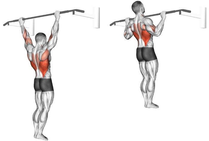 Best Lat Exercises