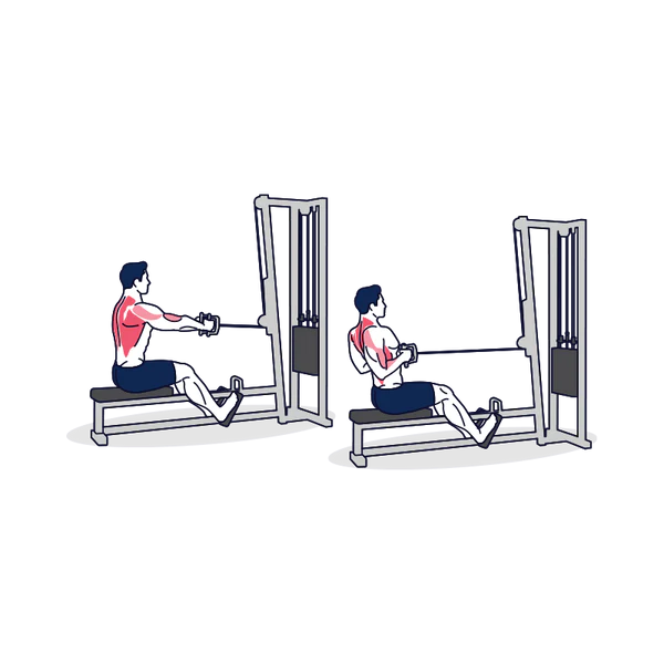 Seated Cable Row