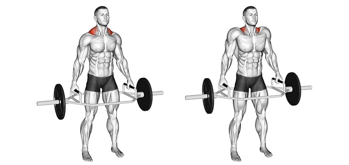 Best Trap Exercises