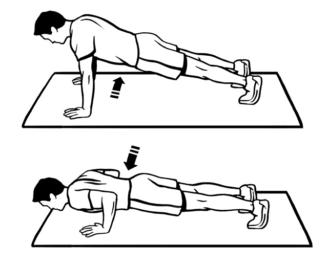 Standard Pushups