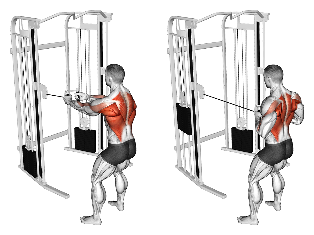Standing Cable Row Best Lat Exercises