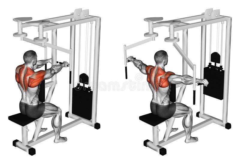 Workout On the Rear Deltoid Machine 