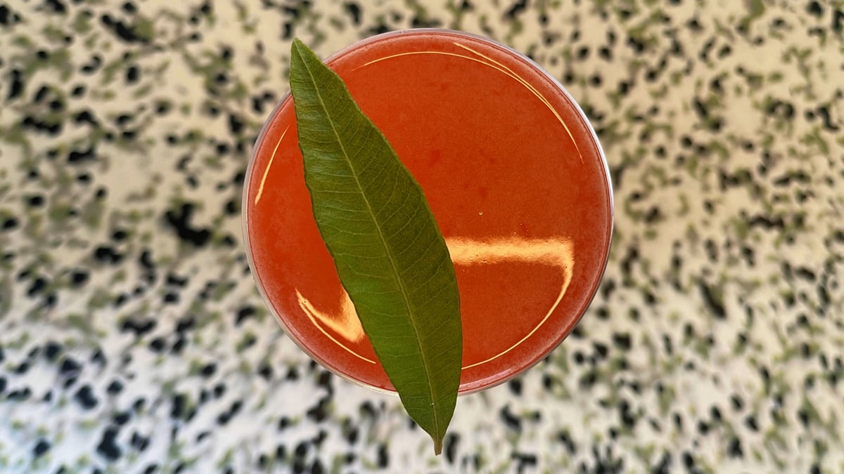 Liquid Intel: A Moreish Gimlet That Tastes Of High Summer, Chandon’s Merivale Moment, & More