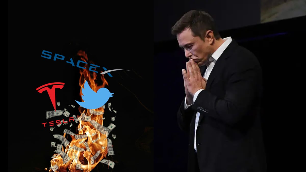 elon musk lose 200 billion