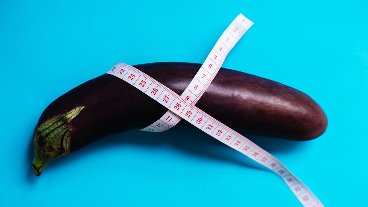 Average Penis Length increase