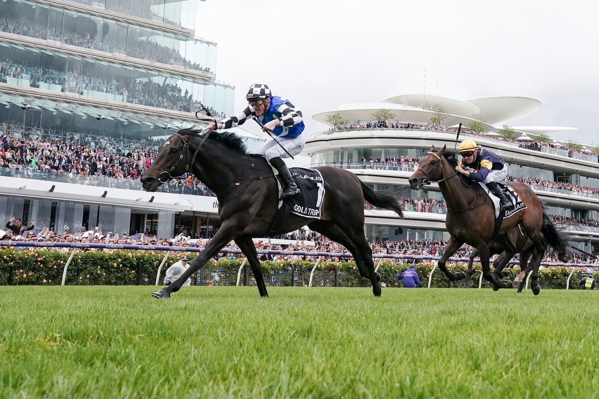 Blue Diamond Stakes Race Day Tips: Gold Trip & Alligator Blood Back To Battle