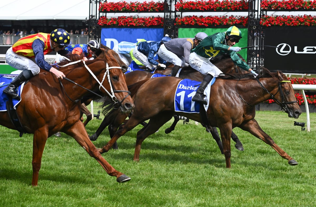 Black Caviar Lightning Race Day Tips: Nature Strip Returns To Flemington