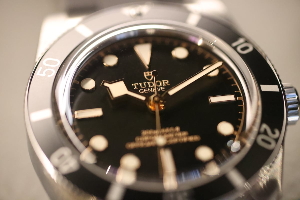 Tudor collection 2023