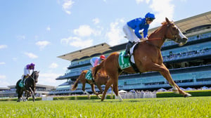 Australian Cup Day Race Day Tips: Lots Of Chat About Virtuous Circle At $26