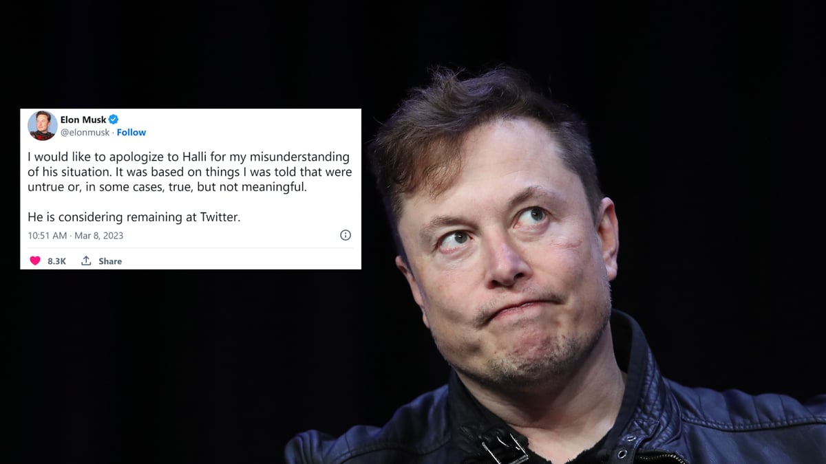 Elon Musk Made A $100 Million Mistake Firing Someone On Twitter
